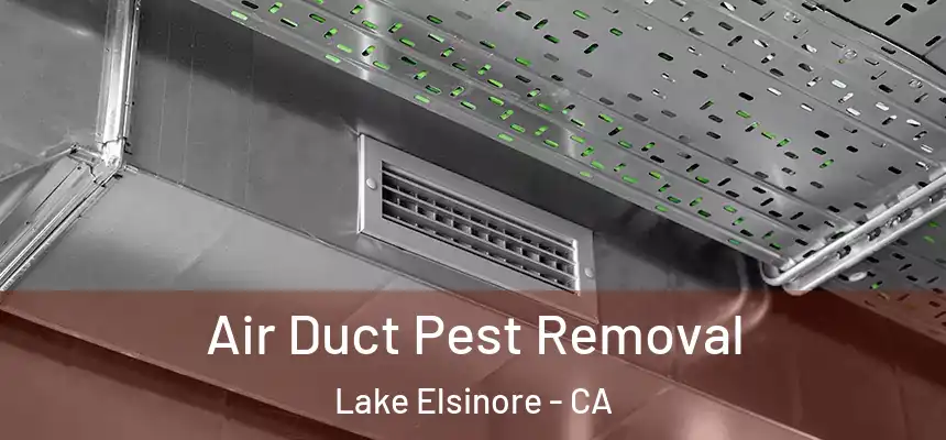 Air Duct Pest Removal Lake Elsinore - CA