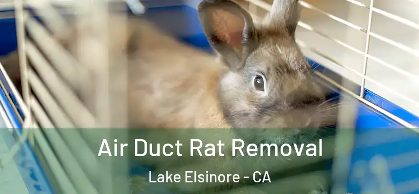 Air Duct Rat Removal Lake Elsinore - CA