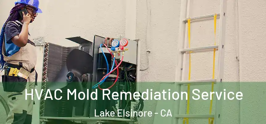 HVAC Mold Remediation Service Lake Elsinore - CA