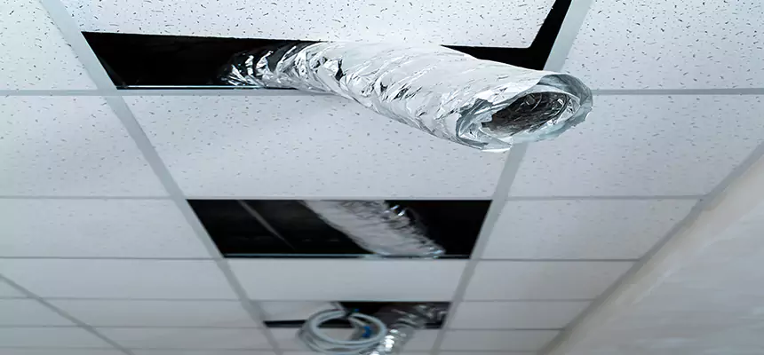 Our Air Duct Pet Hair Removal Services in Lake Elsinore, CA