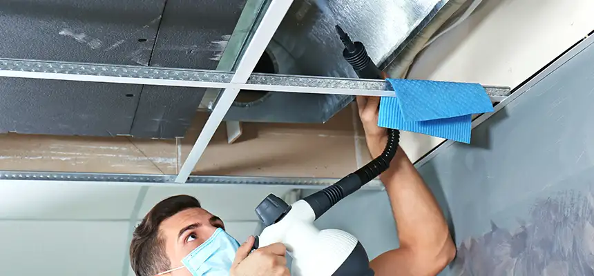 Our Air Duct Rodent Removal Services in Lake Elsinore, CA