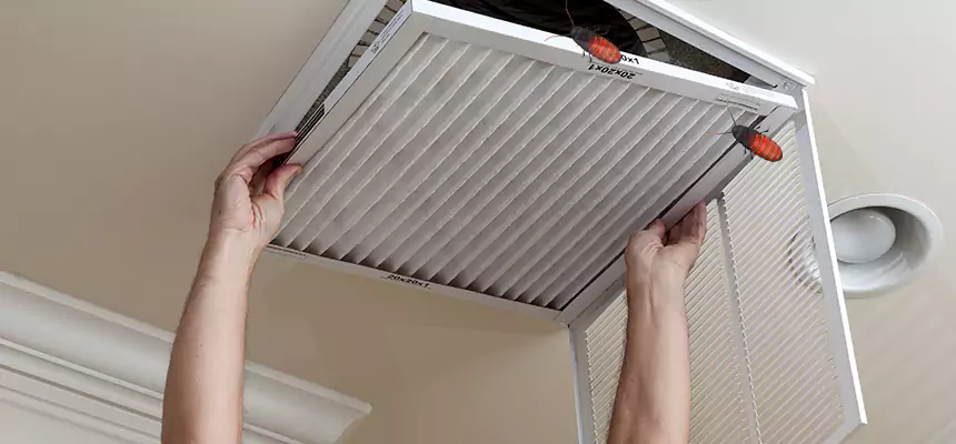 Our Insect Removal from Air Ducts Services in Lake Elsinore, CA