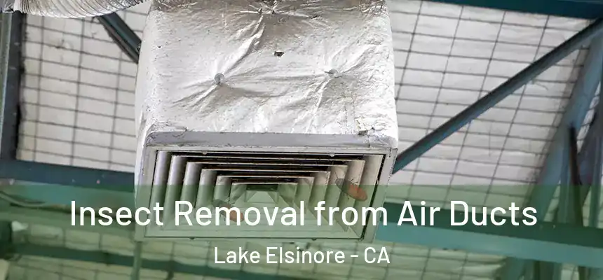 Insect Removal from Air Ducts Lake Elsinore - CA