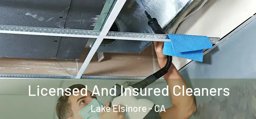 Licensed And Insured Cleaners Lake Elsinore - CA