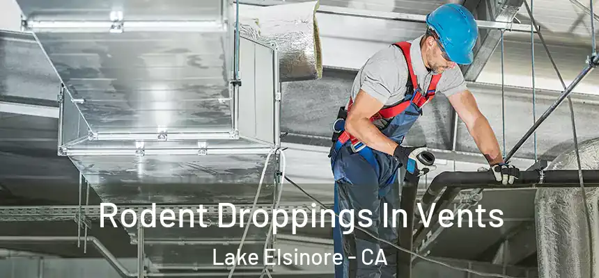 Rodent Droppings In Vents Lake Elsinore - CA