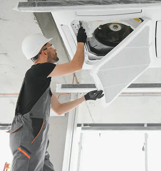 About Air Duct Rodent Removal in Lake Elsinore, CA