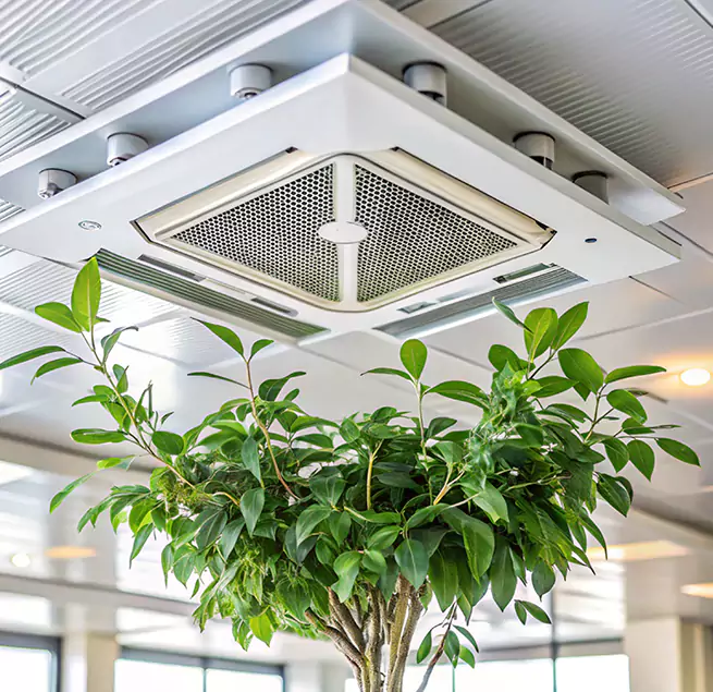 Why Homeowners & Businesses Trust Us in Lake Elsinore, CA?