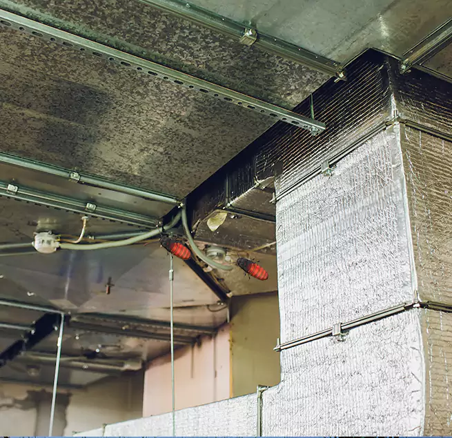 Why Homeowners & Businesses Trust Us Lake Elsinore, CA?