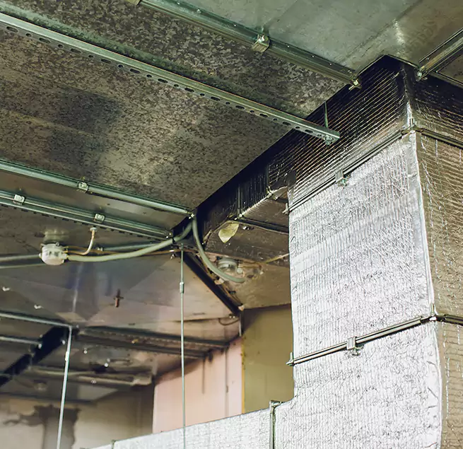 Why Homeowners & Businesses Trust Us in Lake Elsinore, CA?